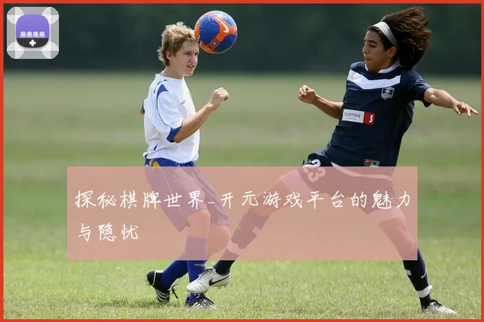 探秘棋牌世界_开元游戏平台的魅力与隐忧