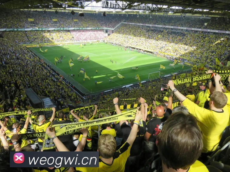 开元体育平台生态图